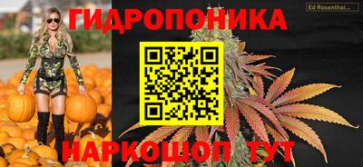 дмт Старая Купавна