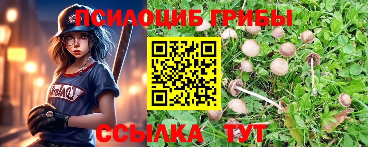 Галлюциногенные грибы мицелий  Вход с VPN  Астрахань 