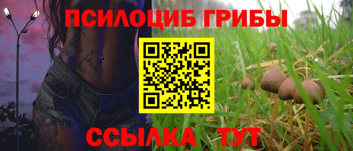 Галлюциногенные грибы мицелий Астрахань